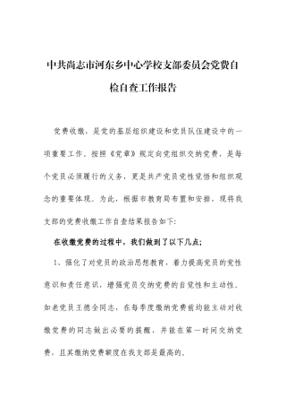 河东乡中心学校党支部党费自检自查工作报告.docx