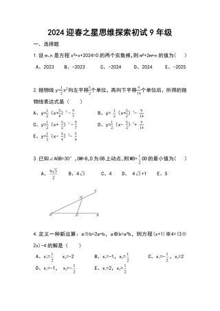 2024迎春之星思维探索初试九年级.pdf