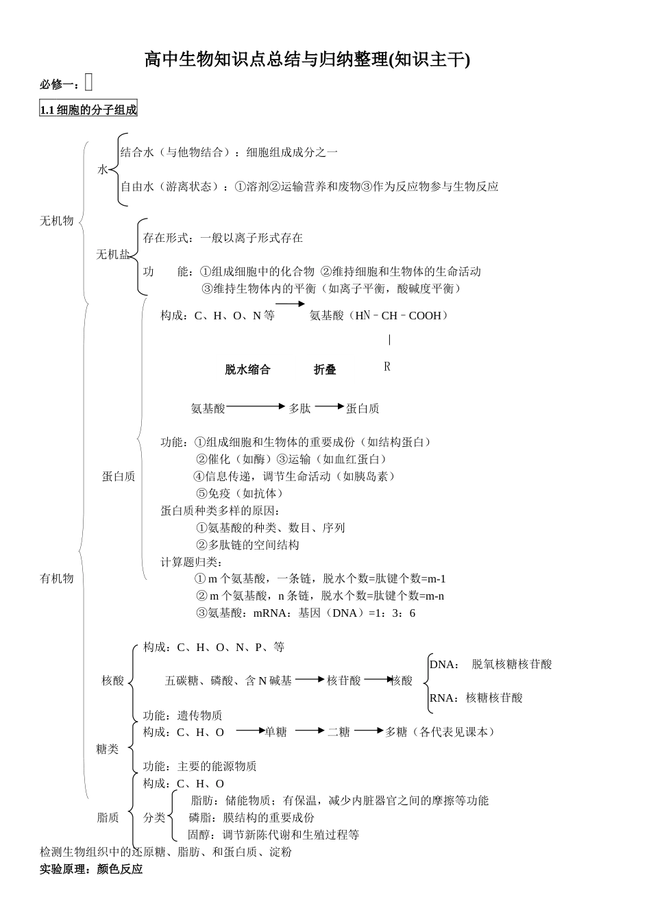 高中生物知识主干.doc_第1页